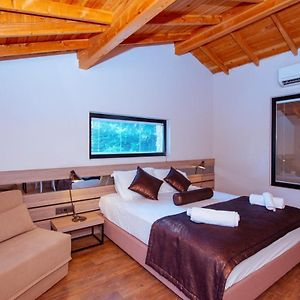 Deluxe Double Room Mountain View